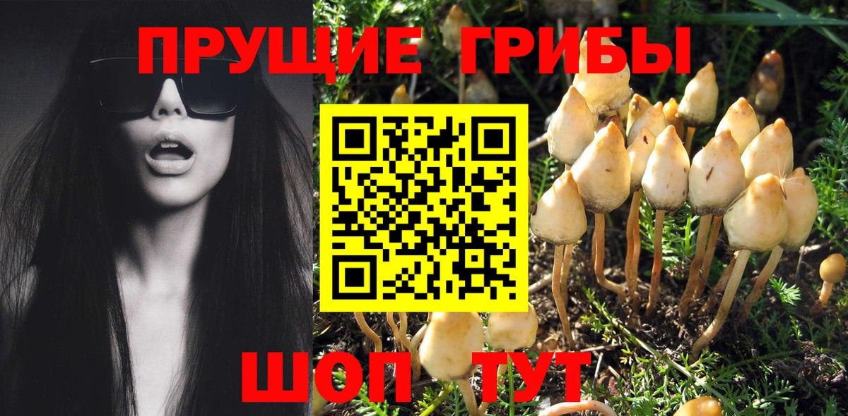 Еманжелинск  Галлюциногенные грибы Psilocybe  Вход с VPN 